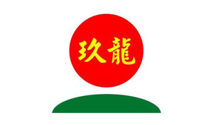 玖龍紙業(yè)