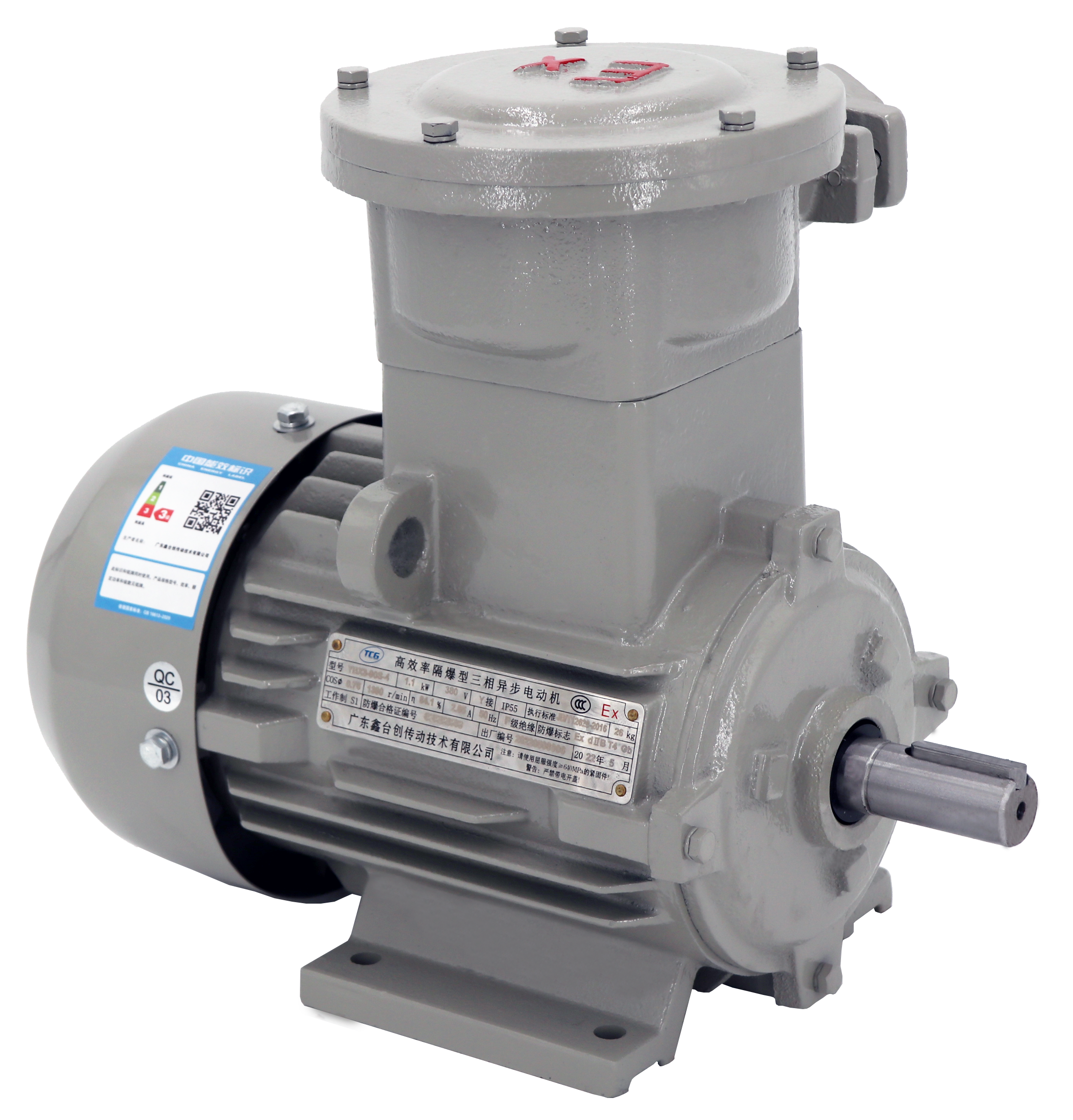 BT4防爆電機(jī)B3